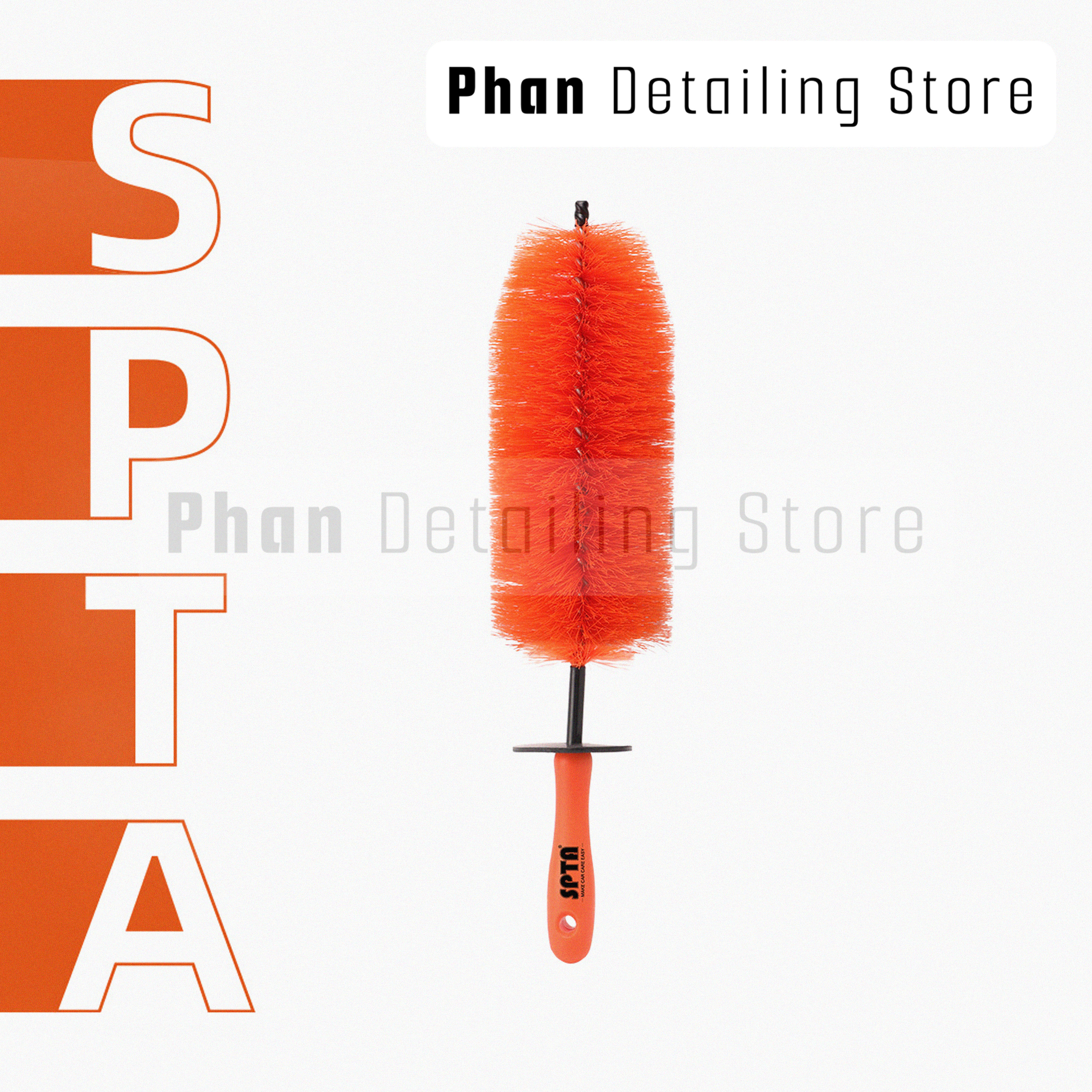 Cây Cọ Lazang Size To SPTA