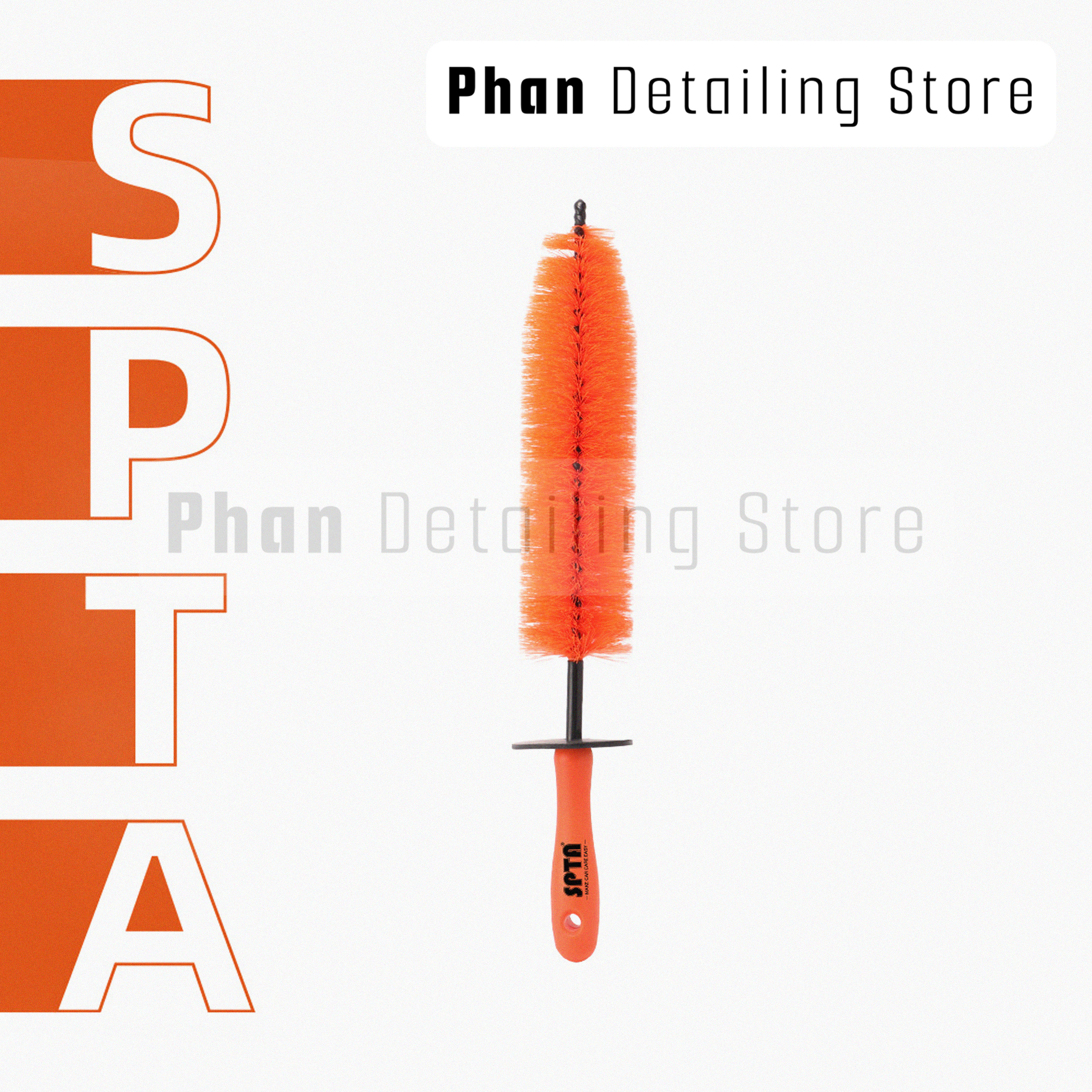 Cây Cọ Lazang Size Nhỏ SPTA